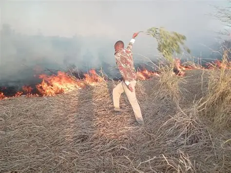 preventing and responding to bush fires 