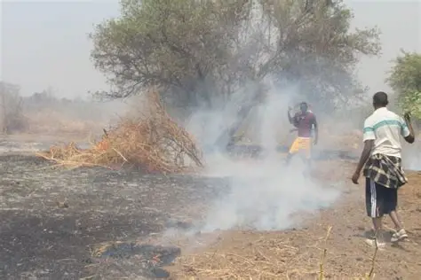 preventing and responding to bush fires 
