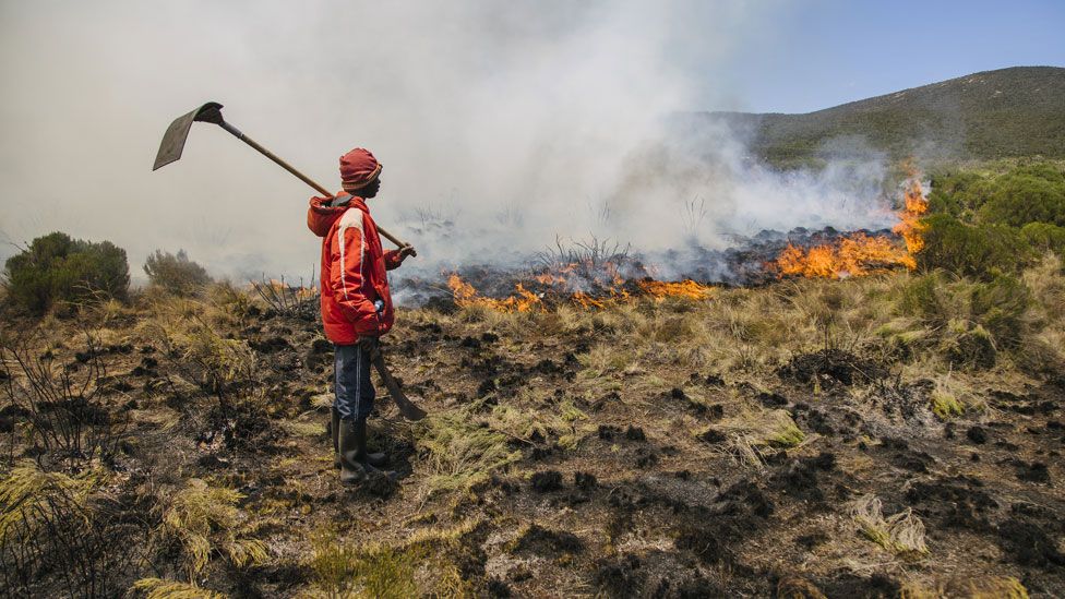firefighter PPE in Africa